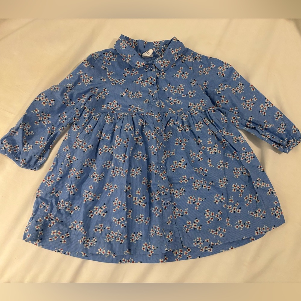 Baby Gap collared button up dress.